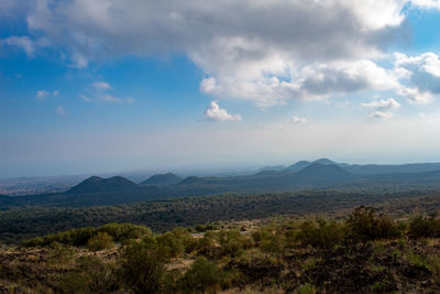 Scenic view of landscape against sky