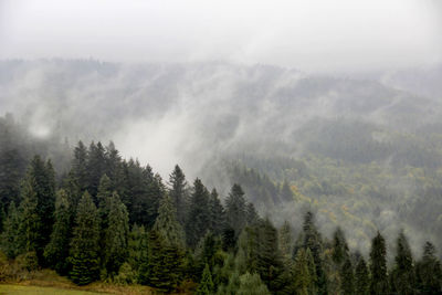 Scenic view of landscape against cloudy sky