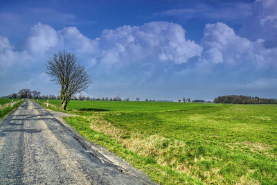 Lonely way along fields