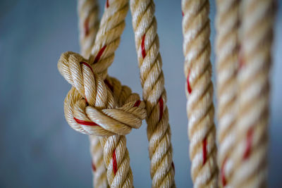 Close-up of ropes