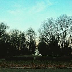 Silhouette of bare trees against sky