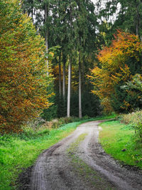 Road amidst trees in forest during autumn