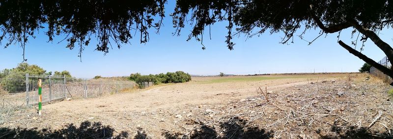 Scenic view of field against clear sky