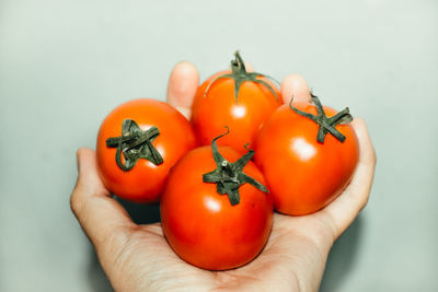 Close-up of hand holding tomatoes