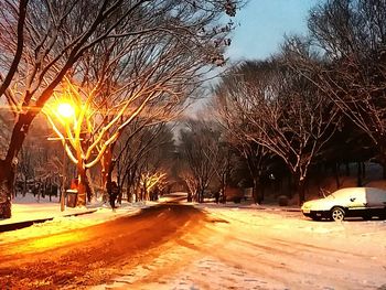 Road passing through snow covered trees