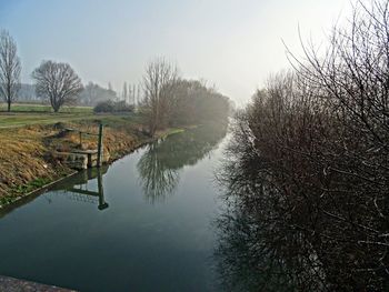 Plants by canal against sky