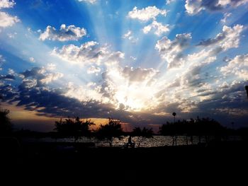 Silhouette of trees at sunset