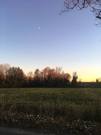 Scenic view of field against clear sky during sunset