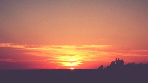 Silhouette of trees at sunset
