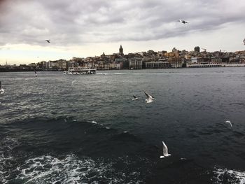 Seagull flying over sea against sky