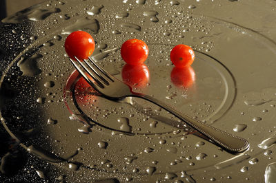 High angle view of wet cherry in water