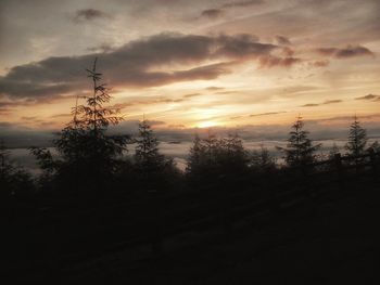 Silhouette trees against dramatic sky during sunset