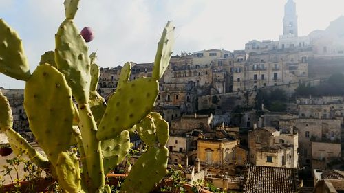 Buildings in city against sky