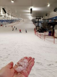 People enjoying in snow