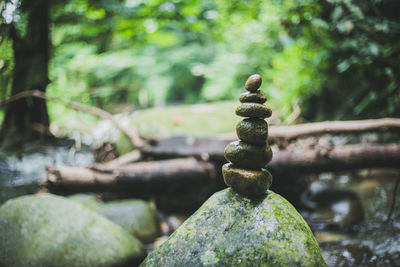 Close-up of stones on tree stump