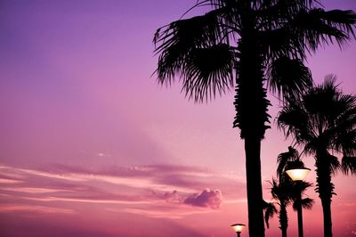 Silhouette of palm trees at sunset