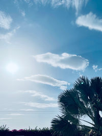 Low angle view of silhouette palm trees against sky