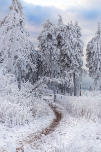 Scenic view of snow covered mountains