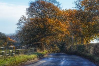 Road amidst trees against sky