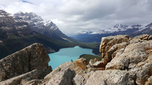 Scenic view of peyto lake