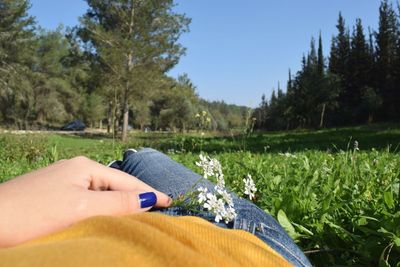 Cropped image of woman with flowers lying on grassy field