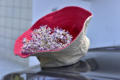 Close-up of red flower on table