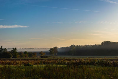 Scenic view of field against sky during sunset