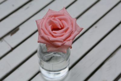 High angle view of pink rose on table