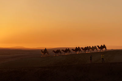 Silhouette people on desert against sky during sunset