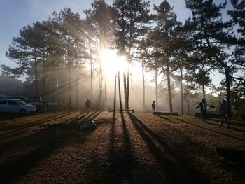 Field  amidst trees against sky and morning mist during sunrise