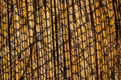 Full frame shot of chainlink fence against bamboos
