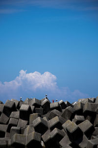 Low angle view of birds on roof against sky