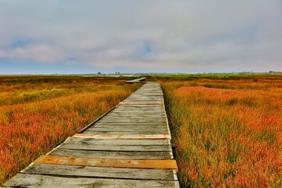 View of wooden boardwalk on field against sky