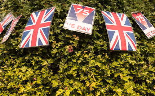 Close-up of flags sign against trees