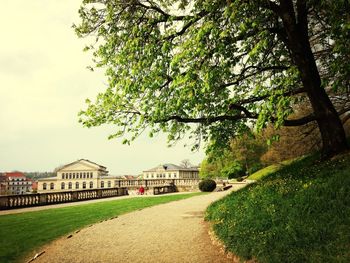 Footpath in park