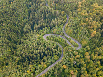 Winding road through the forest, from high mountain pass, in autumn season. aerial view by drone