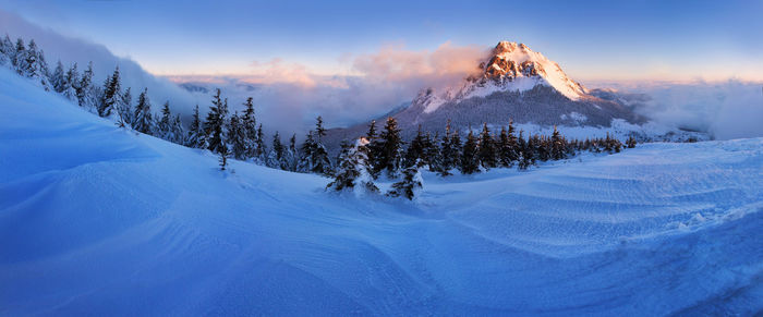 Scenic view of snow covered mountain against sky