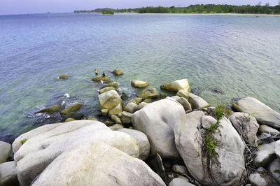 Scenic view of sea shore against sky