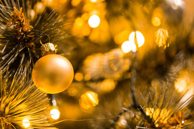 Close-up of illuminated christmas tree