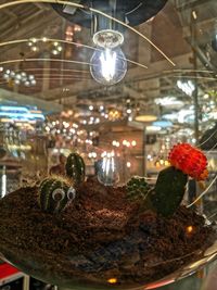 Close-up of illuminated lighting equipment hanging in glass