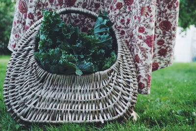 Low section of woman with leaf vegetables in lawn