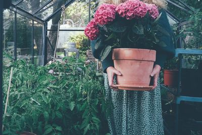 Close-up of potted plants