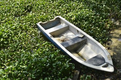 An isolated boat