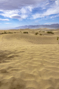 Scenic view of desert against sky