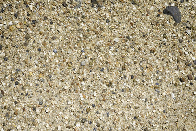 Full frame shot of rocks on beach