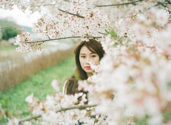 Portrait of young woman standing by flowering tree at park