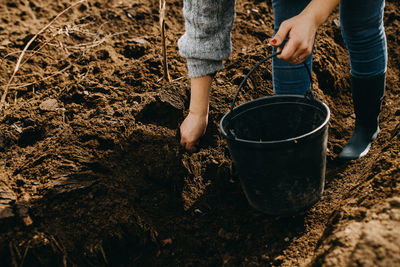 Low section of woman sowing at farm