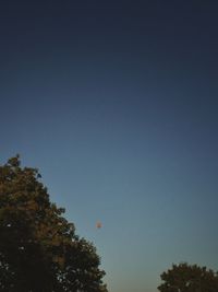 Low angle view of trees against clear sky