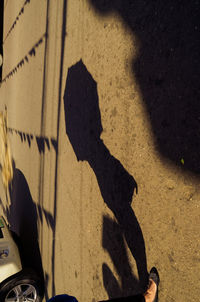 Low section of man standing on road