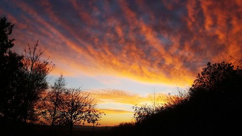 Low angle view of silhouette trees against dramatic sky